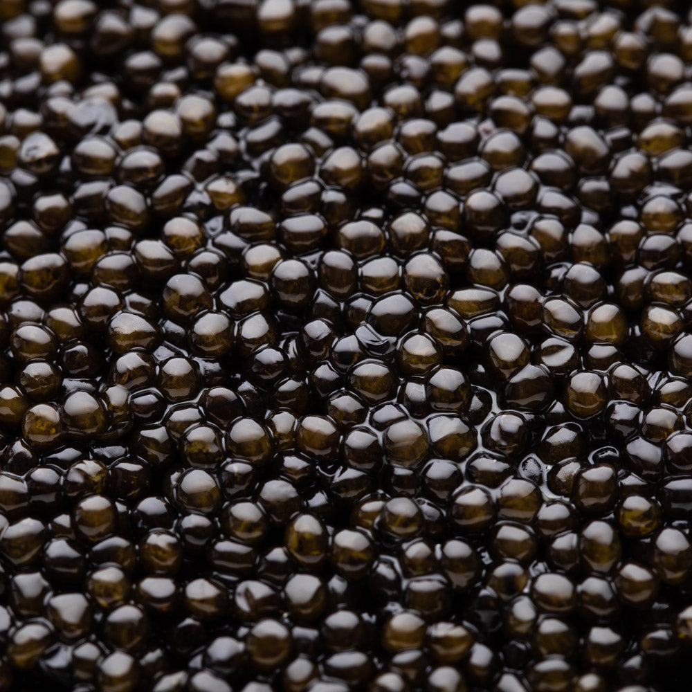 Caviar Beluga Royal