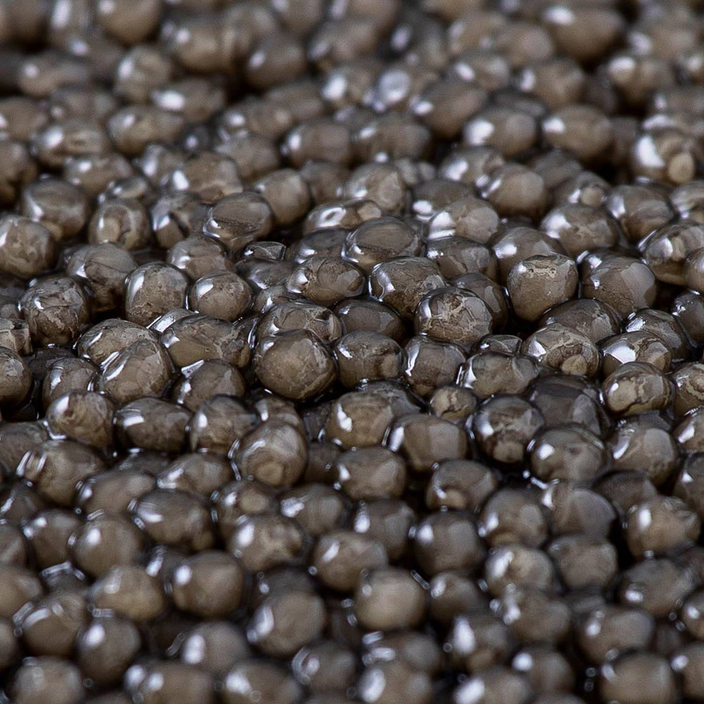Caviar Beluga Spécial Réserve®