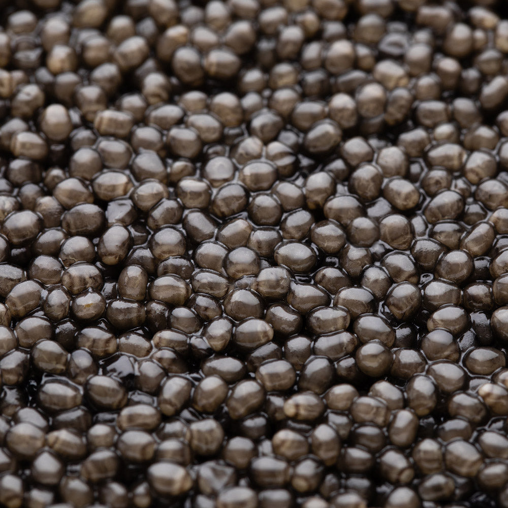 Caviar Beluga Tsar Impérial®