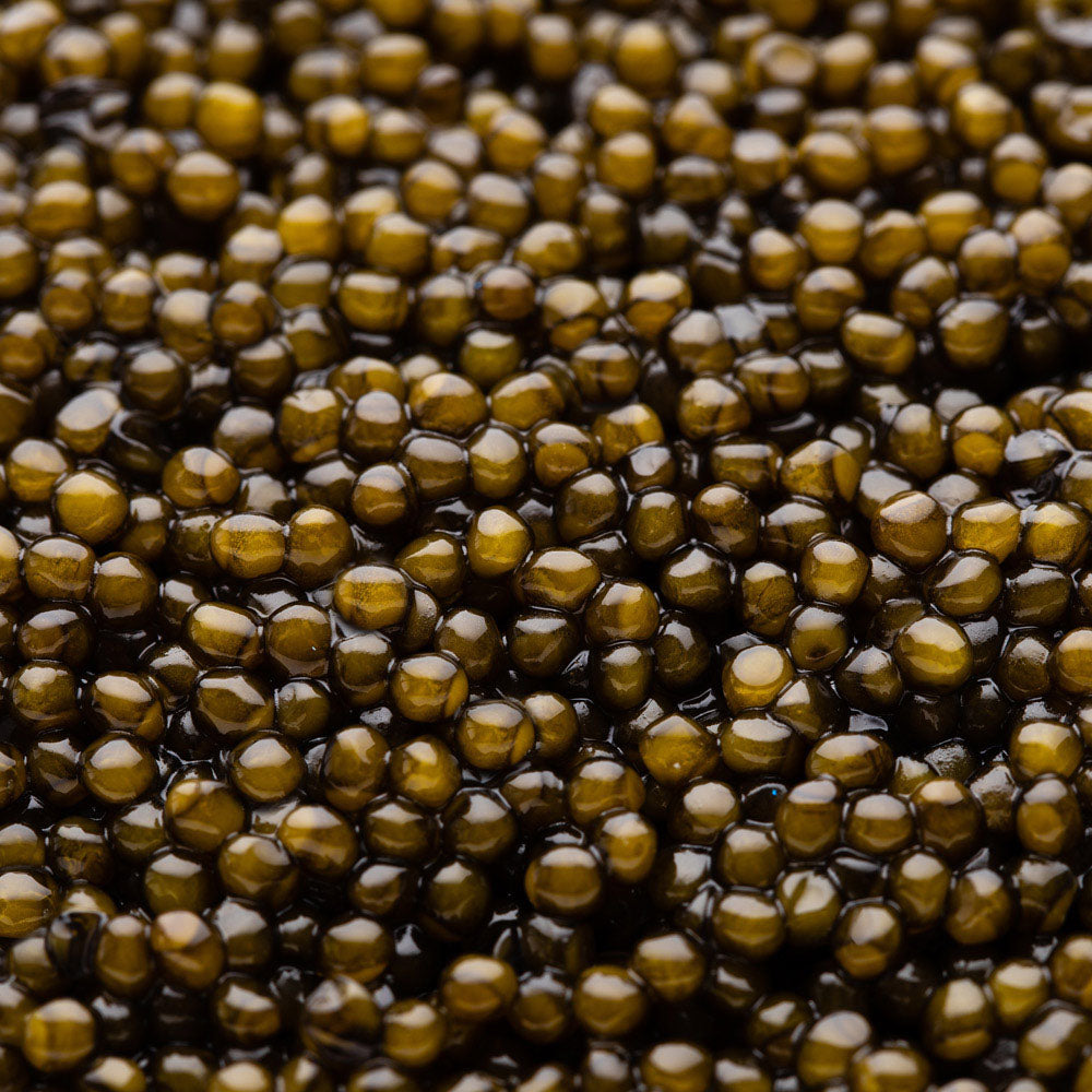 Caviar Daurenki® Royal