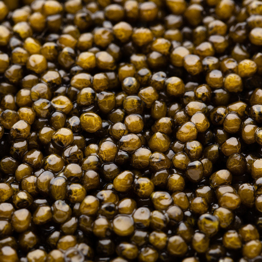 Caviar Daurenki® Spécial Réserve®